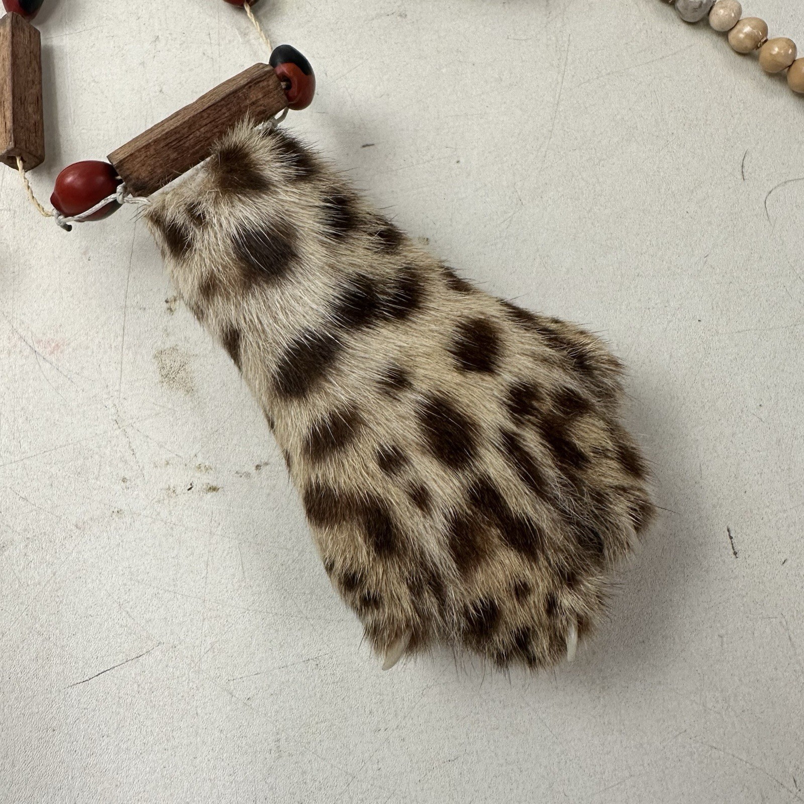 Assorted Tribal Necklaces Unknown Authenticity Or What Animals They Are From