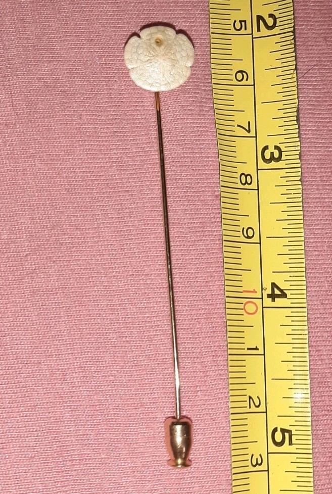 BEAUTIFUL Vintage Sand Dollar Shell Stick Pin Beach Sea Life Sealife