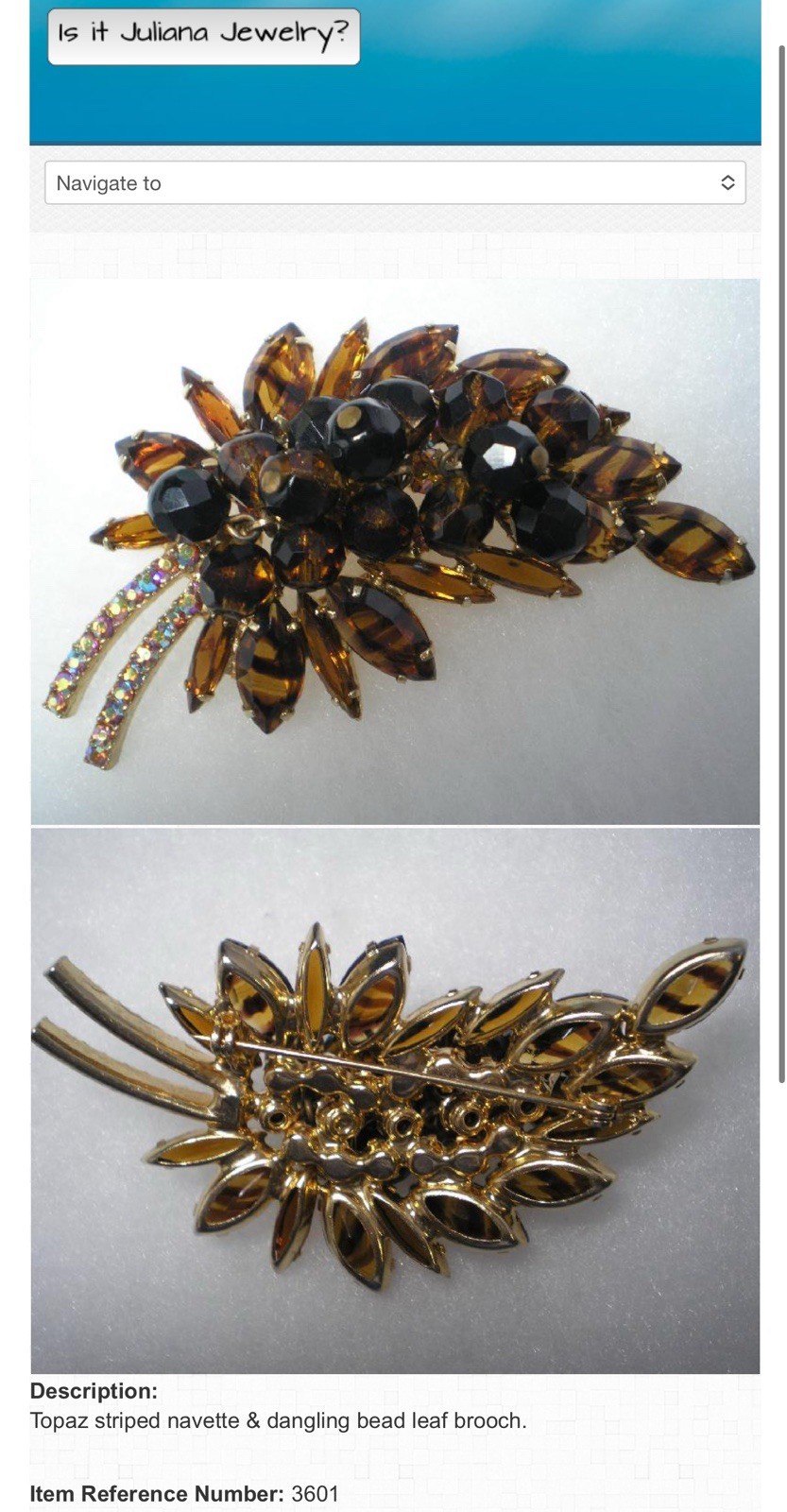 BOOK PIECE JULIANA D&E TORTOISE STRIPED RHINESTONE BEADS CHA CHA LEAF BROOCH